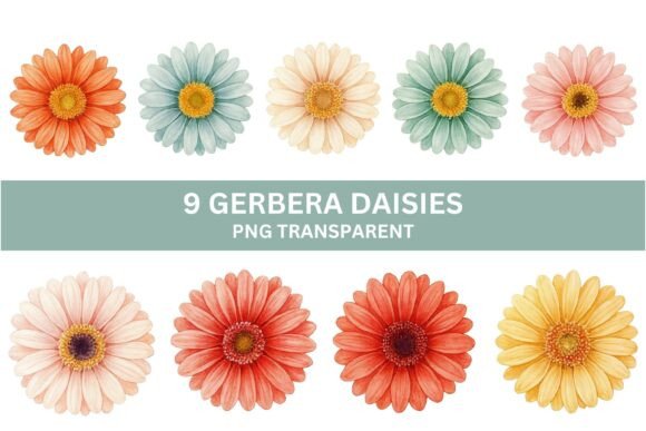 9 Watercolor Gerbera Daisy PNG Set for Vibrant Designs